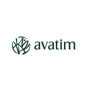 Avatim