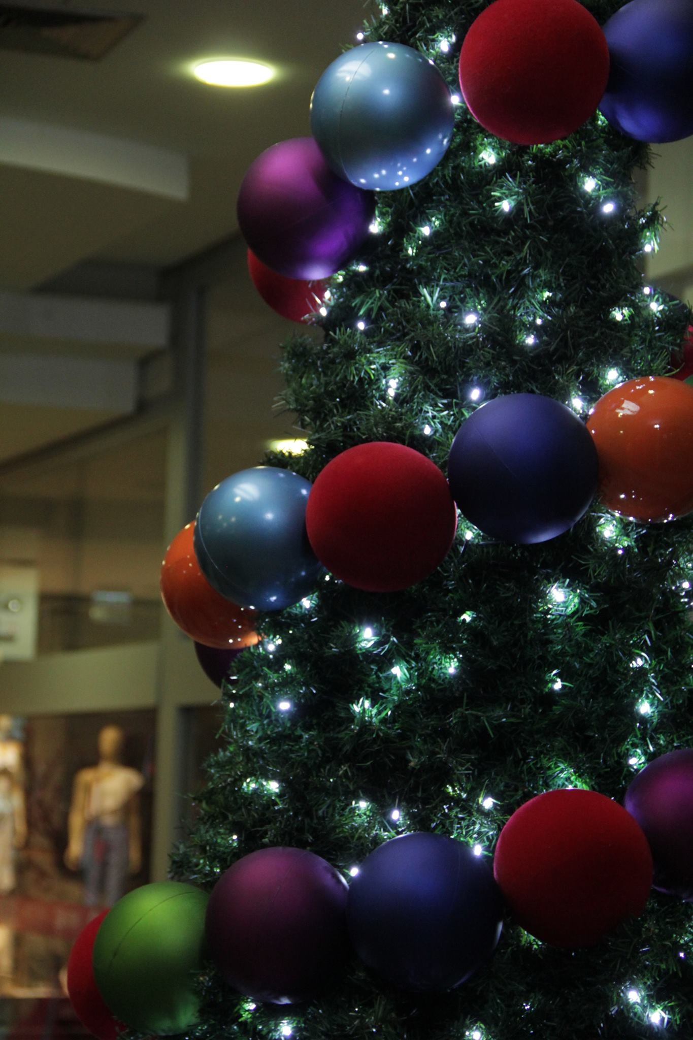 Vem aí um Natal de Alegrias