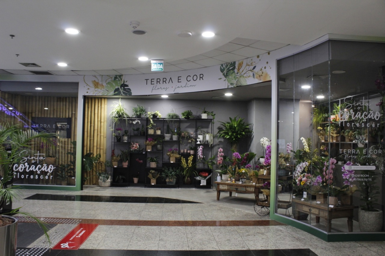 Showroom Terra e Cor, especial Dia das Mães